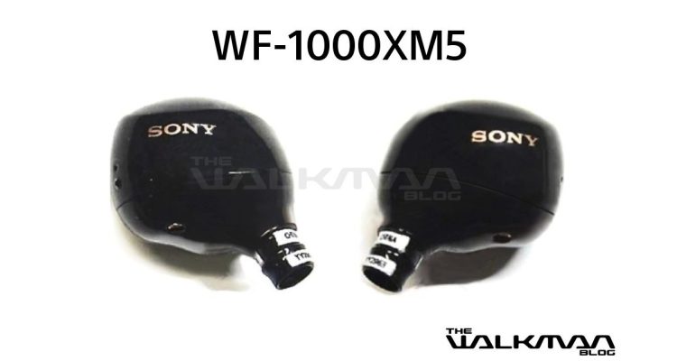 Tai nghe (Earbud) của Sony WF-1000XM5 trông như thế nào?